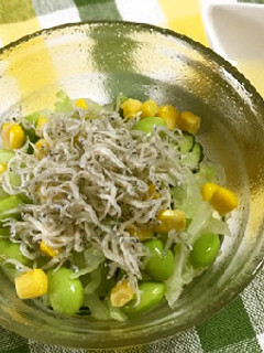 給食☆枝豆とじゃこのサラダ-レシピのメイン写真