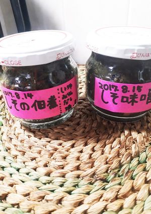 疲労回復にも！★紫蘇味噌★紫蘇佃煮★-レシピのメイン写真