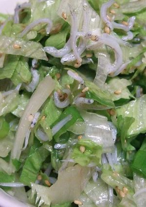 超簡単味付け！しらすのサラダ♪-レシピのメイン写真