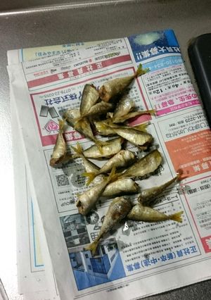 小鯵の唐揚げ-レシピのメイン写真