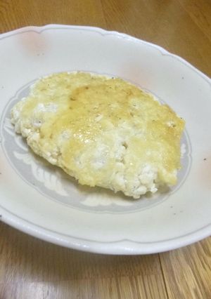 主な材料2つ♬豆腐としらすのハンバーグ★-レシピのメイン写真