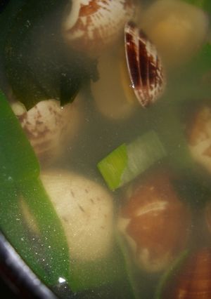 あさりとねぎのあっさり(笑)おすまし-レシピのメイン写真