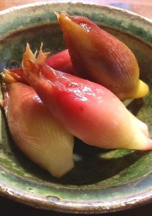 食べやすい茗荷の赤梅酢漬け-レシピのメイン写真