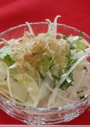 オニオンスライスサラダ-レシピのメイン写真