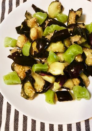 茄子と塩だけ！火も鍋も使わない塩揉み茄子-レシピのメイン写真