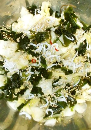 白菜漬け物とジャコの酢の物♪漬物アレンジ-レシピのメイン写真