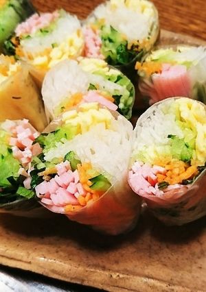サラダ生春巻-レシピのメイン写真