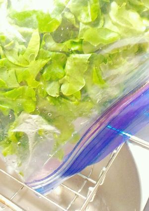 レタスの水切り-レシピのメイン写真