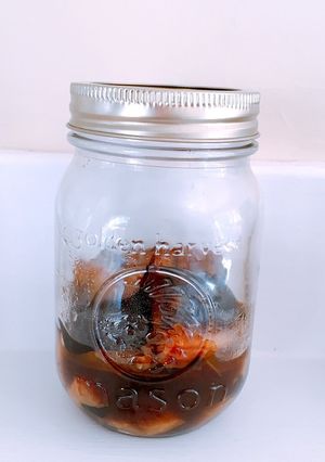 お酢で長持ち 茄子とパプリカの煮浸し-レシピのメイン写真
