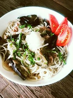茄子の揚げ浸しそうめん-レシピのメイン写真