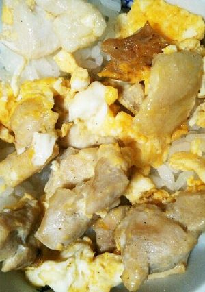 鶏肉と卵と醤油だけで！ずぼら丼♪-レシピのメイン写真