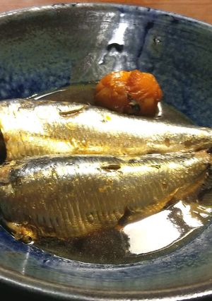 鰯の梅酵母煮-レシピのメイン写真