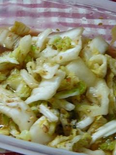 白菜の浅漬け-レシピのメイン写真