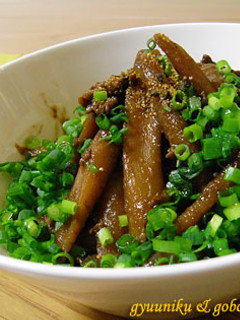 ご飯にあう!牛肉ごぼうこんにゃく鉄火煮☆-レシピのメイン写真
