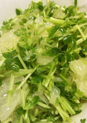 グレープフルーツと豆苗のサラダ-レシピのメイン写真