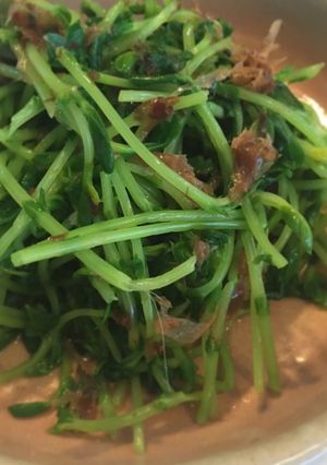 豆苗のおひたし-レシピのメイン写真