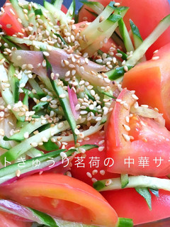 5分で完成トマトきゅうり茗荷の中華サラダ-レシピのメイン写真