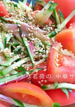 5分で完成トマトきゅうり茗荷の中華サラダ-レシピのメイン写真