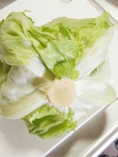 簡単すぎるレタスの保存法*-レシピのメイン写真