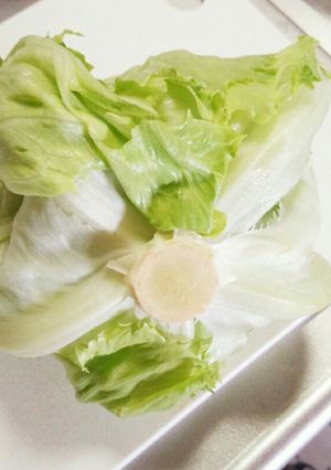 簡単すぎるレタスの保存法*-レシピのメイン写真