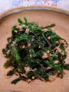 簡単!!春菊のツナ和え-レシピのメイン写真