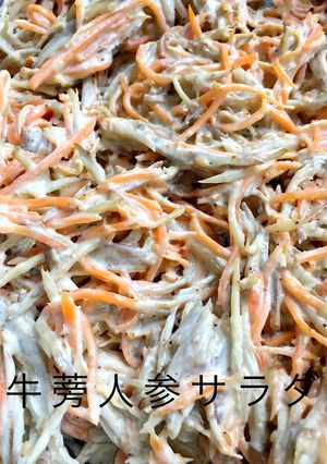 デパ地下風☆人参と牛蒡のサラダ-レシピのメイン写真