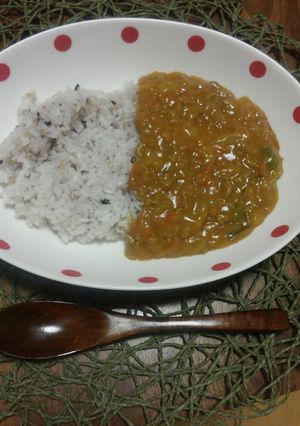 1時間で作れる！一晩寝かした様なカレー☆-レシピのメイン写真