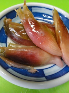 *みょうがのカンタン黒酢漬け*-レシピのメイン写真