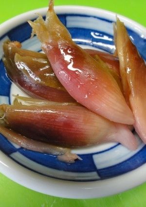 *みょうがのカンタン黒酢漬け*-レシピのメイン写真