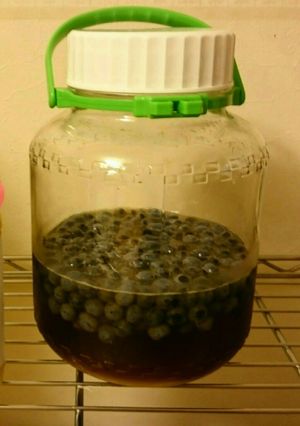 ブルーベリー酢-レシピのメイン写真
