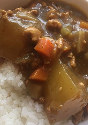 冬瓜を食べるためのカレー-レシピのメイン写真