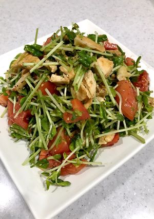 酒のアテに！節約！豆苗シャキシャキサラダ-レシピのメイン写真