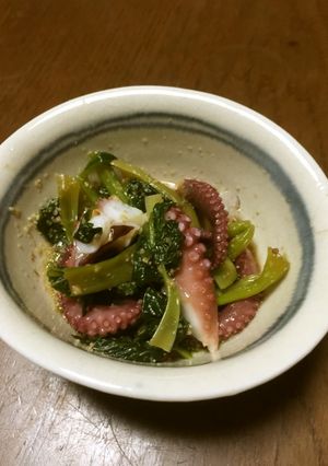 たこと小松菜のごま和え-レシピのメイン写真