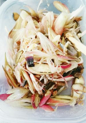茗荷と身欠き鰊の和え物-レシピのメイン写真