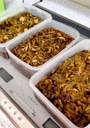 ゴーヤーのニンニク醤油漬け-レシピのメイン写真