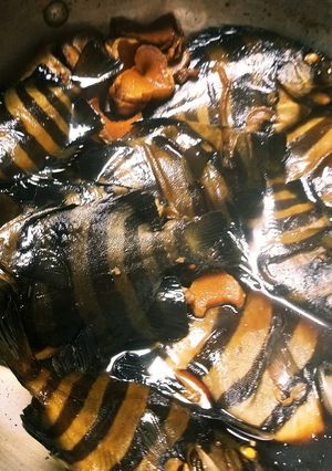 石鯛(小)の煮付け-レシピのメイン写真