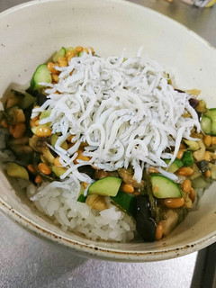 山形のだし風ねばねば丼-レシピのメイン写真