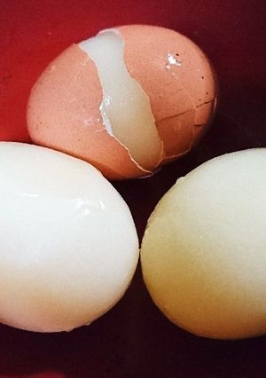 アレンジ色々♪簡単❢冷凍卵の作り方-レシピのメイン写真