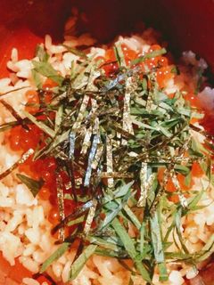 わさび醤油ご飯のイクラ丼-レシピのメイン写真