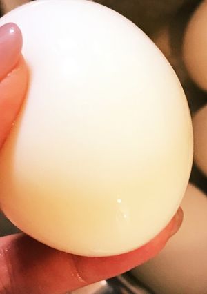 ゆで卵のきれいな剥き方-レシピのメイン写真