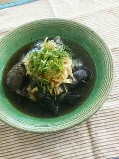 薬味たっぷり‼なすの揚げびたし-レシピのメイン写真