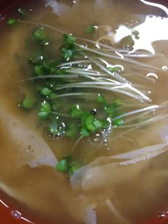 湯葉ときな粉のお味噌汁-レシピのメイン写真