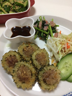 ゴーヤの肉詰めフライ★サクサク軽め!-レシピのメイン写真