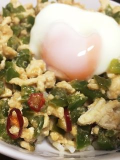 ピーマンでカサ増し!鶏そぼろ丼-レシピのメイン写真