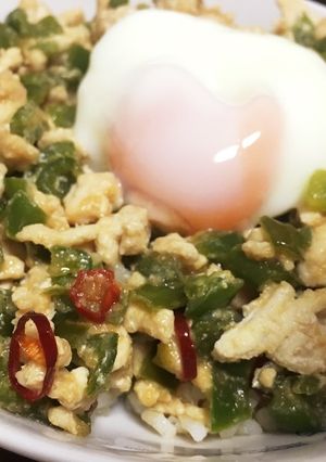 ピーマンでカサ増し！鶏そぼろ丼-レシピのメイン写真