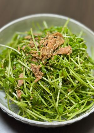 豆苗とツナの黒酢サラダ-レシピのメイン写真