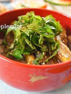 なすの蒲焼丼-レシピのメイン写真