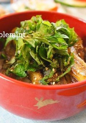 なすの蒲焼丼-レシピのメイン写真