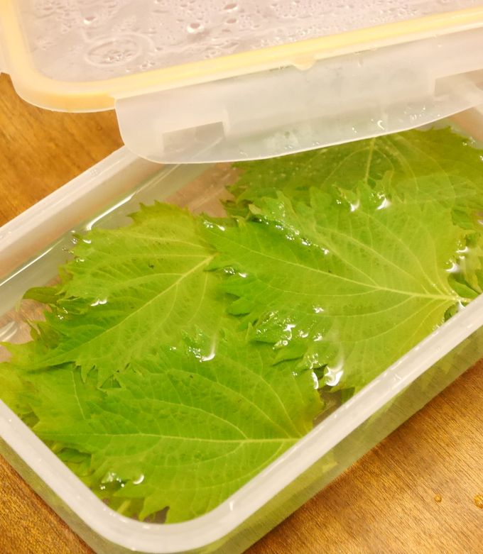 ズボラさん必見！大葉の超かんたんな保存法 by yunachi30