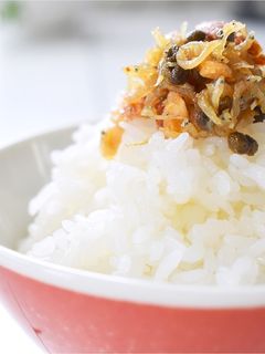 自家製・味噌ちりめん山椒-レシピのメイン写真